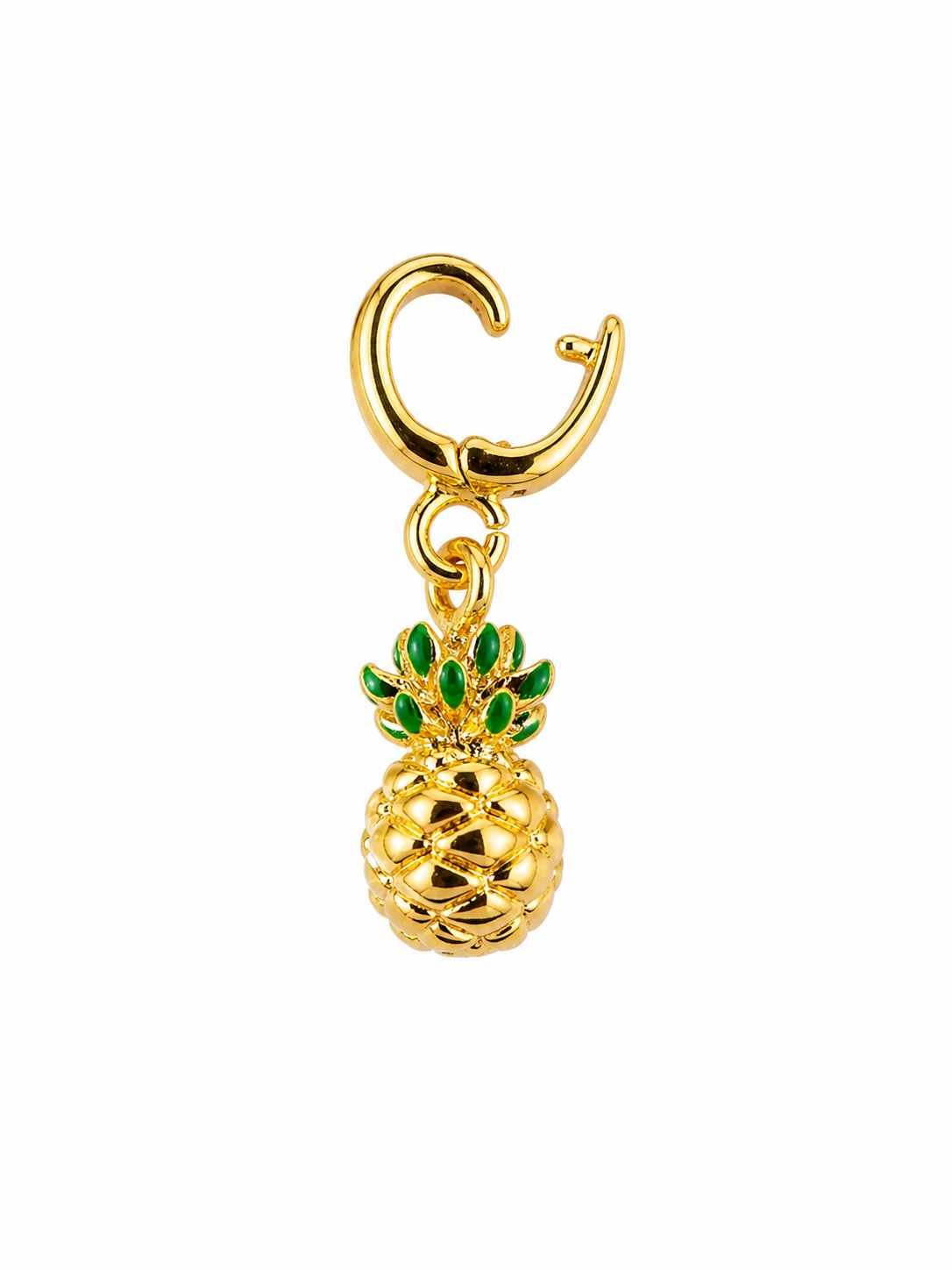 Charm Ananas 3d